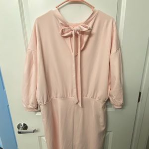 NWT Baby Pink Eloquii Dress